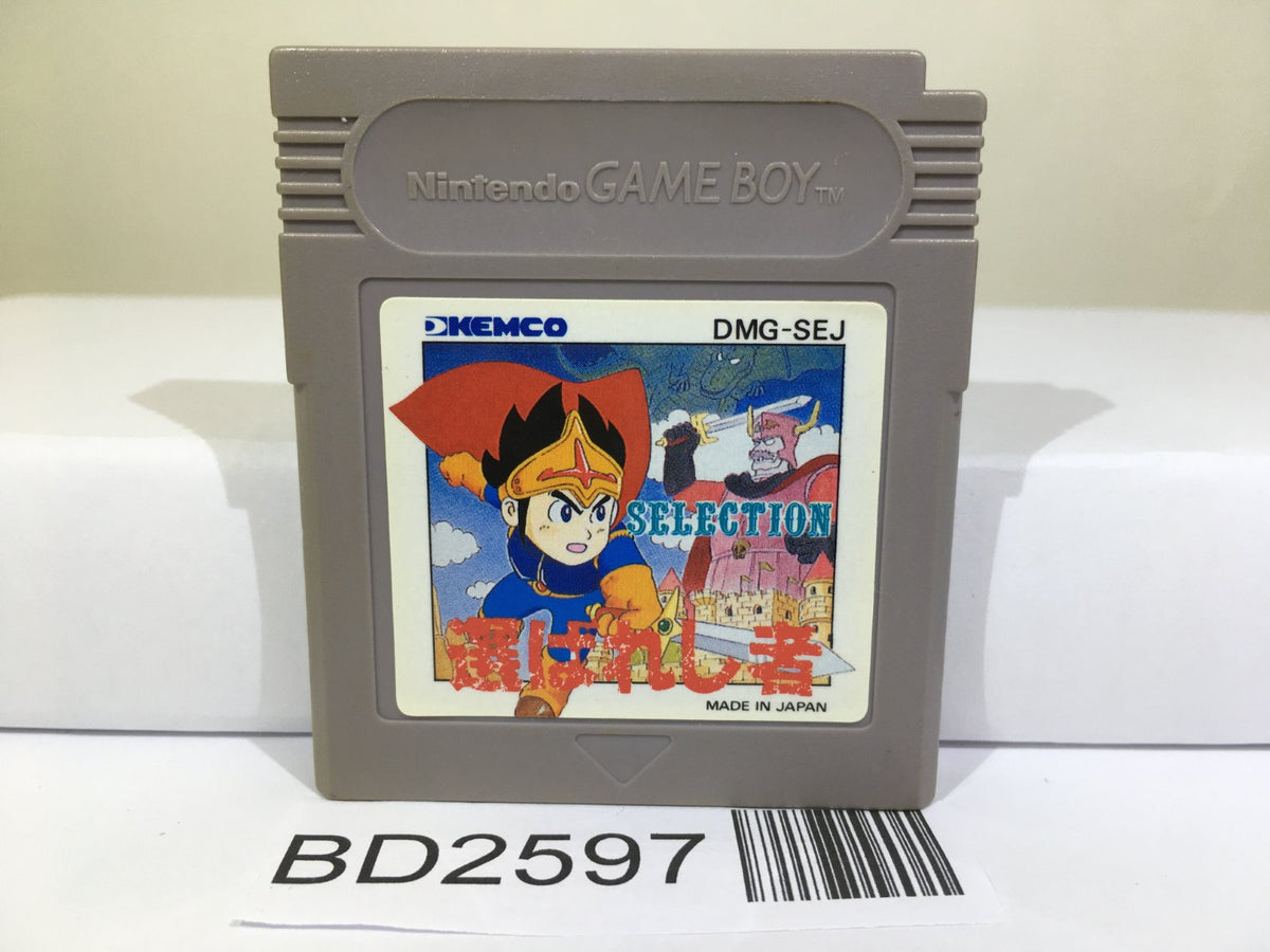 Selection Erabareshi Mono Nintendo GameBoy Japan - BD2597 – J4U.co.jp