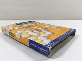 DK9555 Pikmin BOXED GameCube Japan