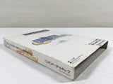 DK9588 Final Fantasy Crystal Chronicles BOXED GameCube Japan