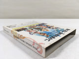 DK9588 Final Fantasy Crystal Chronicles BOXED GameCube Japan