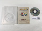 DK9611 Paper Mario The Thousand Year Door GameCube Japan