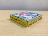 UE8738 Nekketsu! Beach Volley dayo Kunio Kun Volleyball BOXED GameBoy Game Boy Japan