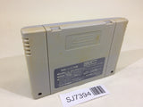 SJ7394 Super Mario World SNES Super Famicom Japan