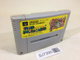 SJ7395 Super Mario World SNES Super Famicom Japan