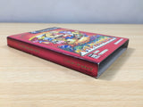 UE8066 Paper Mario The Thousand Year Door BOXED GameCube Japan