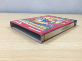 UE8066 Paper Mario The Thousand Year Door BOXED GameCube Japan