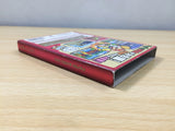 UE8066 Paper Mario The Thousand Year Door BOXED GameCube Japan