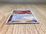 CE9006 Groudon - ADV-DM 019/033 Pokemon Card TCG Japan