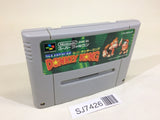 SJ7426 Super Donkey Kong Country SNES Super Famicom Japan