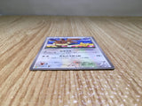 CE8418 Eevee - PROMO 235/BW-P Pokemon Card TCG Japan