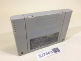 SJ7443 Super Donkey Kong Country 3 SNES Super Famicom Japan