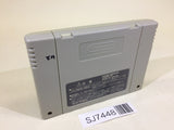 SJ7448 Super Donkey Kong Country 3 SNES Super Famicom Japan