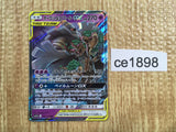 CE1898 Trevenant Dusknoir tag team GX RR SM12a 053/173 Pokemon Card TCG Japan