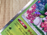 CE8428 Shaymin PROMO PROMO 225/SM-P Pokemon Card TCG Japan