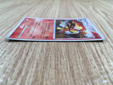 CE1438 Infernape - PtE-D 004/013 Pokemon Card TCG Japan