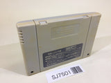 SJ7501 Dragon Ball Z Super Butouden 2 SNES Super Famicom Japan