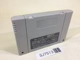SJ7513 Chou Makaimura Super Ghouls 'n Ghosts SNES Super Famicom Japan