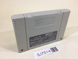SJ7514 Chou Makaimura Super Ghouls 'n Ghosts SNES Super Famicom Japan