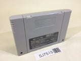 SJ7515 Chou Makaimura Super Ghouls 'n Ghosts SNES Super Famicom Japan