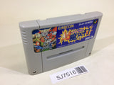 SJ7516 Chou Makaimura Super Ghouls 'n Ghosts SNES Super Famicom Japan