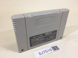 SJ7516 Chou Makaimura Super Ghouls 'n Ghosts SNES Super Famicom Japan