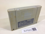 SJ7522 Lennus Paladin's Quest SNES Super Famicom Japan