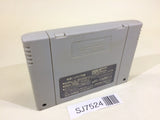 SJ7524 Silva Saga II 2 The Legend of Light&Darkness SNES Super Famicom Japan