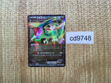 CD9748 Flygon PROMO PROMO 114/XY-P Pokemon Card TCG Japan