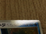 CE4497 Swampert PROMO PROMO 048/ADV-P Pokemon Card TCG Japan