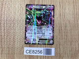 CE8256 Rayquaza EX - PROMO 123/XY-P Pokemon Card TCG Japan