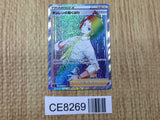 CE8269 Cheren's Care HR s9 123/100 Pokemon Card TCG Japan