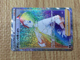 CE8269 Cheren's Care HR s9 123/100 Pokemon Card TCG Japan