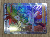 CE7069 Flannery HR S6H 088/070 Pokemon Card TCG Japan
