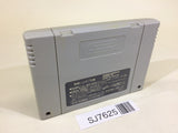 SJ7625 Libble Rabble SNES Super Famicom Japan