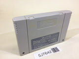 SJ7642 Lemmings SNES Super Famicom Japan