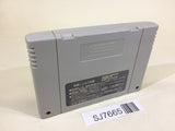 SJ7665 Panel de Pon SNES Super Famicom Japan