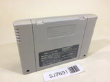 SJ7691 Dino Wars SNES Super Famicom Japan