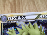 CE9112 Tyranitar - L2d-B 009/019 Pokemon Card TCG Japan