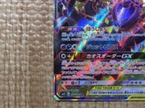 CE9114 Naganadel Guzzlord tag team GX SR SM12 101/095 Pokemon Card TCG Japan
