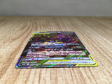 CE9117 Naganadel Guzzlord tag team GX SR SM12 101/095 Pokemon Card TCG Japan