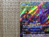 CE9117 Naganadel Guzzlord tag team GX SR SM12 101/095 Pokemon Card TCG Japan
