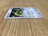 CE8319 Rayquaza - PROMO 041/PCG-P Pokemon Card TCG Japan