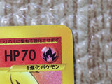 CE8745 Arcanine - web 023/048 Pokemon Card TCG Japan