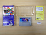 UE5601 Super Nazo Puyo Rulue no Roux Puyo Puyo BOXED SNES Super Famicom Japan