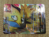 CE4217 Zeraora VMAX SAR s12a 219/172 Pokemon Card TCG Japan