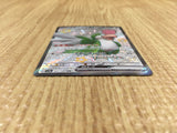 CE4336 Squawkabilly ex SSR sv4a 337/190 Pokemon Card TCG Japan