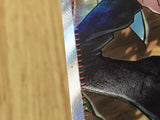 CE4362 Clive SR sv4a 344/190 Pokemon Card TCG Japan