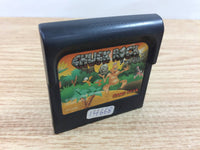 di3519 Chuck Rock Sega Game Gear Japan
