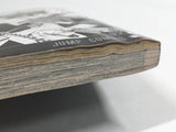 AAA3310 Sengoku ARMORS Vol.1 Japanese Manga