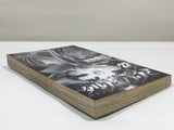 AAA3488 Flame of Recca Vol.27 Japanese Manga